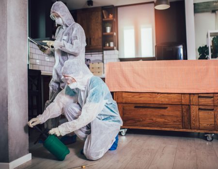 Specialists in protective suits do disinfection or pest control in the apartment.